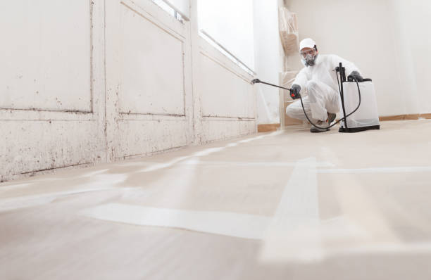 24/7 Emergency Attic Mold Remediation experts in Arlington, MA